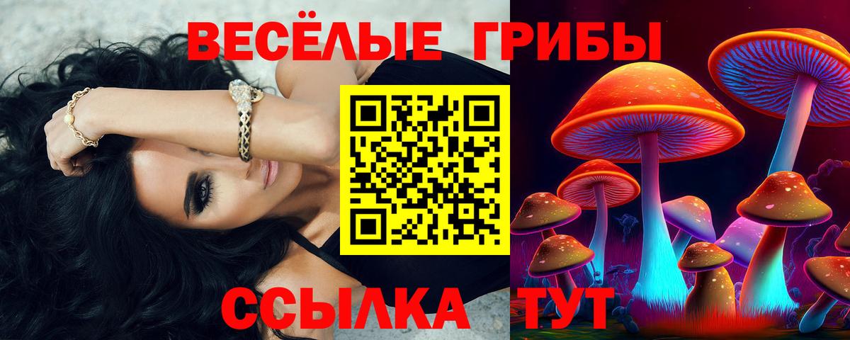Псилоцибиновые грибы прущие грибы  Вход с VPN  Шали 