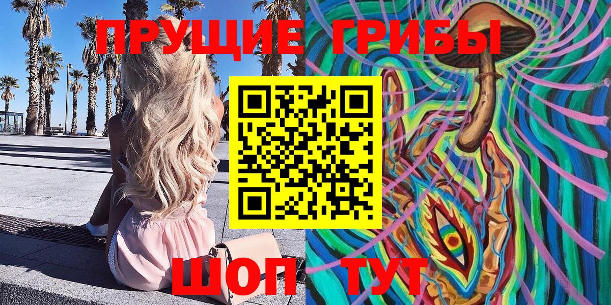 Псилоцибиновые грибы Psilocybe Шали